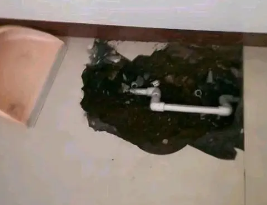 泉港卫生间测漏水多少钱